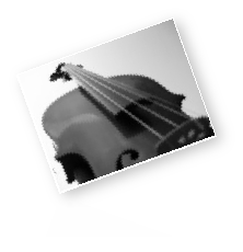 Picture of a Violin